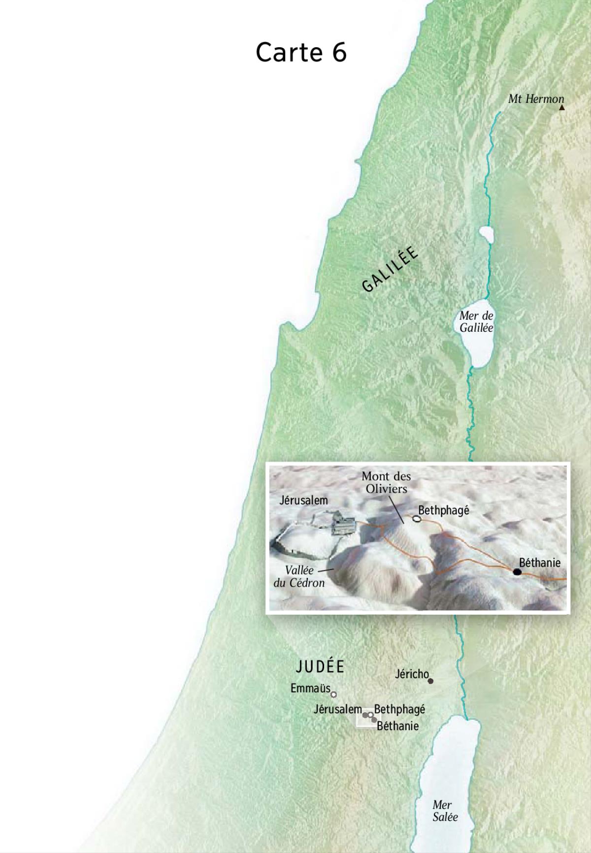Carte 6